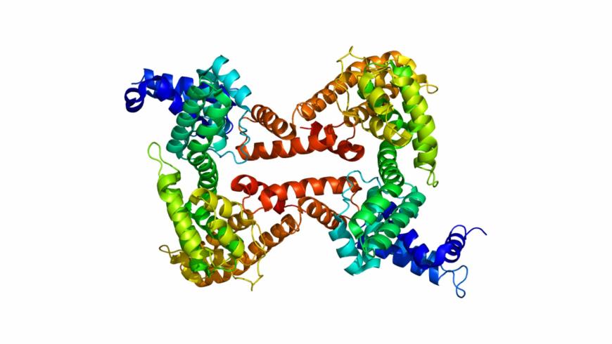 Vitamin D-binding protein